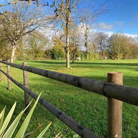 3 A Louer Chez Habitant Rum i privatbostad